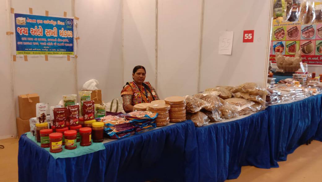 નરદીપુરની ગૃહિણી કૃષ્ણાબેન વાઘેલા બન્યાં ‘લખપતિ દીદી’ – આત્મનિર્ભરતા અને મહિલાઓ માટે પ્રેરણાસ્ત્રોત