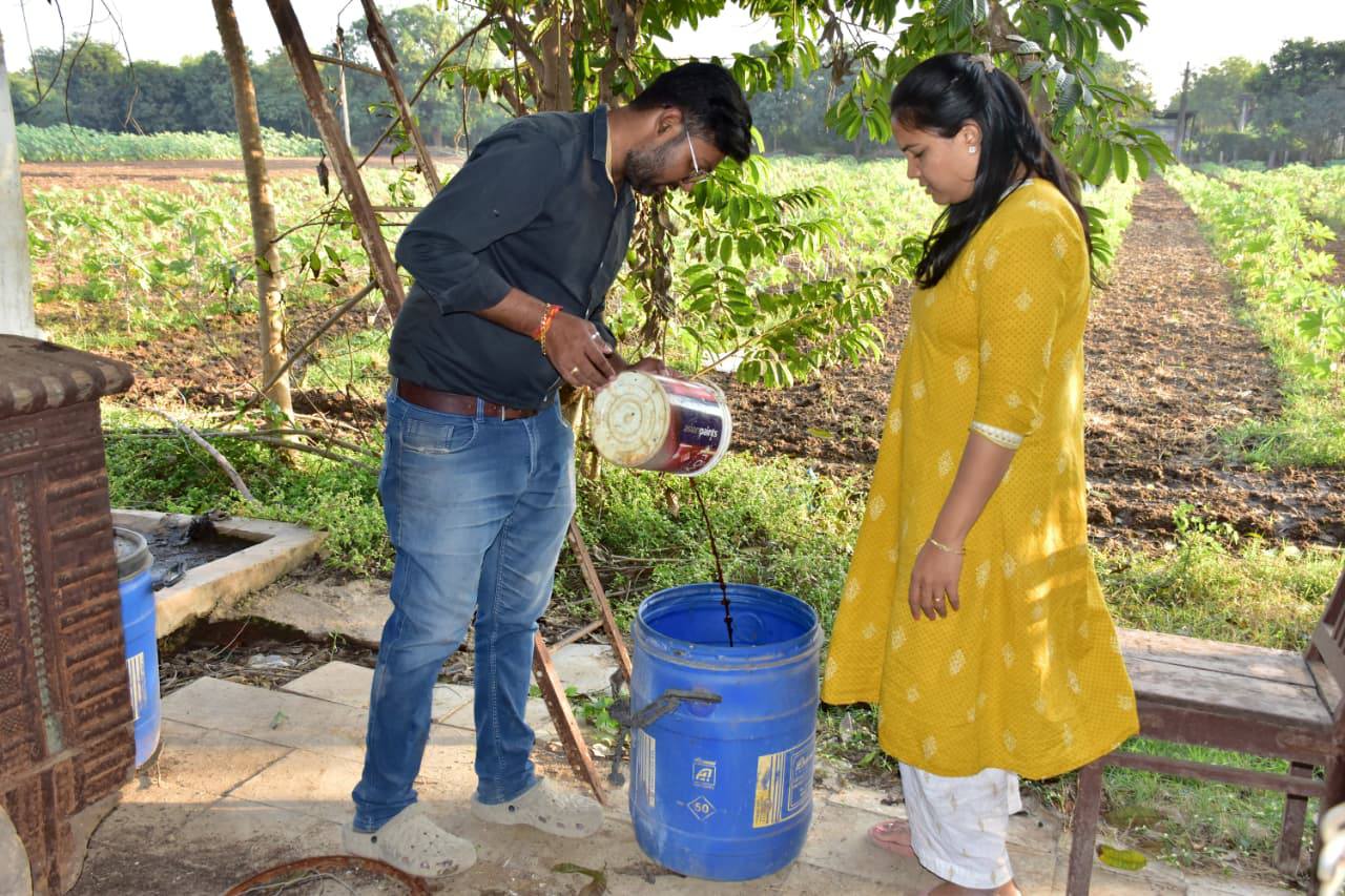 વડોદરાના ખેડૂત પરિવારએ કુદરતી ખેતી અને દાળિનો વાવેતર દ્વારા આત્મનિર્ભરતા મેળવી, અન્ય ખેડૂતો માટે પ્રેરણા બની