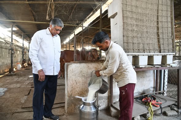 ‘ગૌ સેવા એ જ પ્રભુ સેવા’ને સાકાર કરતા ગાંધીનગર જિલ્લાના શ્રેષ્ઠ પશુપાલક મહેન્દ્રભાઈ પટેલ