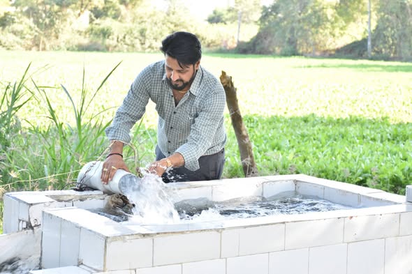 પાટણ જિલ્લામાં કુદરતી ખેતીથી ખેડૂતોની આર્થિક પ્રગતિ, જમીન અને માનવ આરોગ્ય માટે લાભદાયી સાબિત થઈ કુદરતી ખેતી