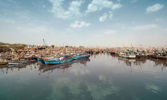 Veraval ખાતે ડીપ સી ફિશિંગ માટે “એક્સેસ પાસ ફ્રેમવર્ક” લોન્ચ: ગુજરાતથી ભારતની સીફૂડ એક્સપોર્ટને મળશે નવી દિશા