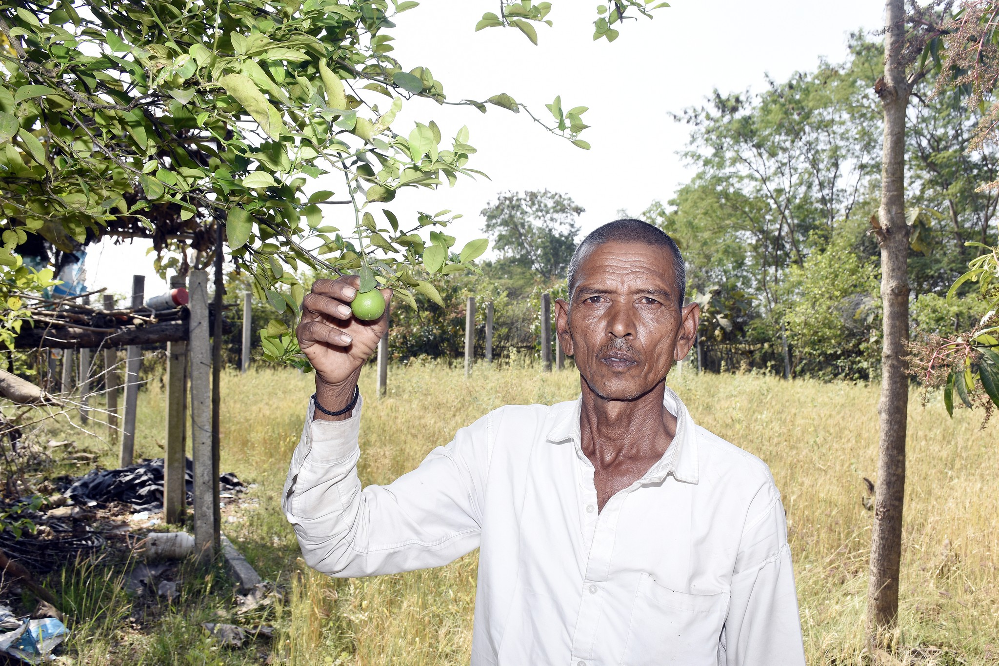 દાહોદના પ્રગતિશીલ ખેડૂત કાળુભાઈ મોરી: પ્રાકૃતિક ખેતીથી વાર્ષિક ₹1 લાખથી વધુ નફો અને ઝેરમુક્ત અનાજનું ઉત્પાદન