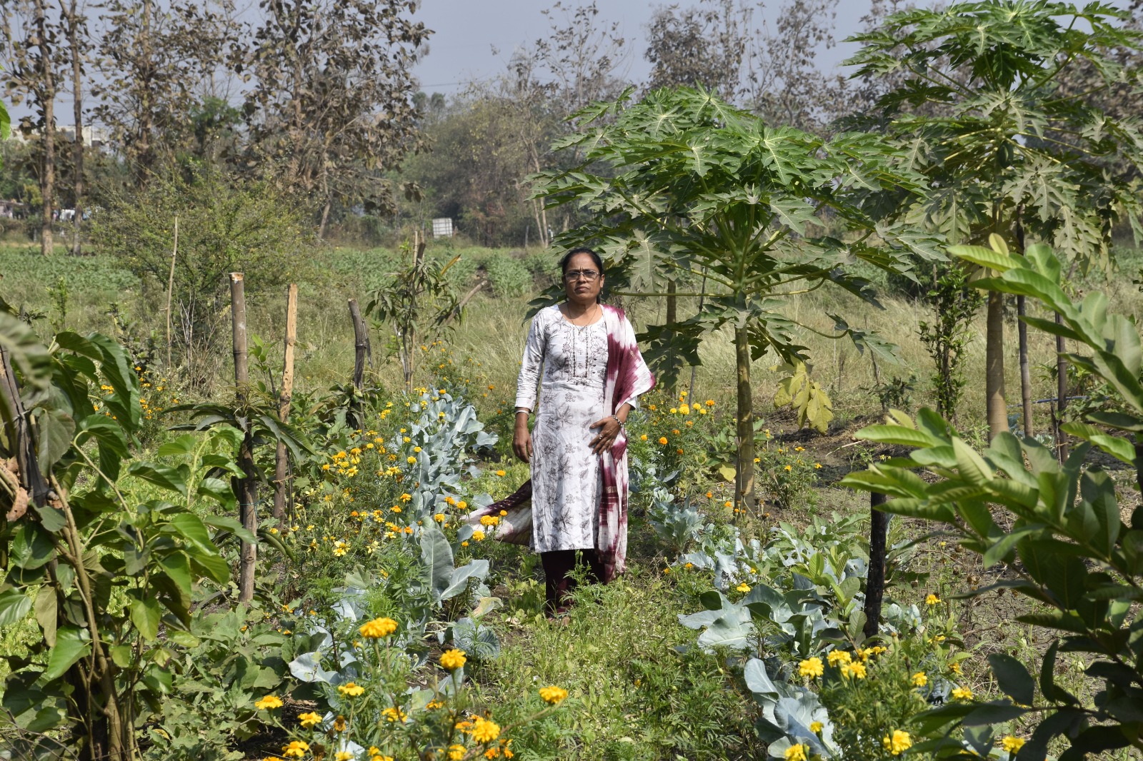 રામપુરાની મહિલા ખેડૂત ભાવનાબેન પટેલનો જંગલ મોડેલ પ્રાકૃતિક ખેતીમાં સફળતા કિસ્સો