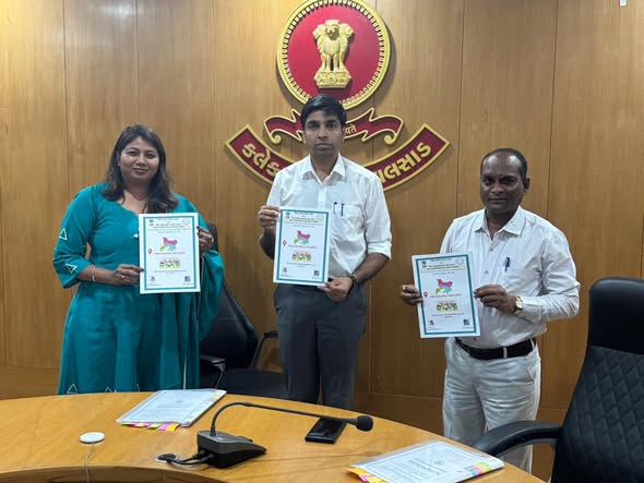 વલસાડ જિલ્લામાં ધો. 10 અને 12 બોર્ડ પરીક્ષાના સુચારૂ આયોજન માટે જિલ્લા કલેકટર ભવ્ય વર્માના અધ્યક્ષસ્થાને બેઠક યોજાઈ