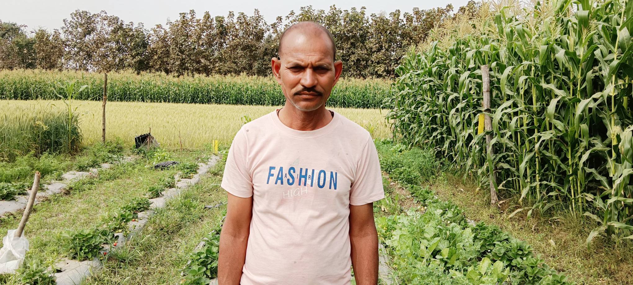 દાહોદના બાવકા ગામના પ્રગતિશીલ ખેડૂત હિરાભાઈ ડામોર: ગાય આધારિત પ્રાકૃતિક ખેતીથી વાર્ષિક 3 લાખથી વધુ આવક