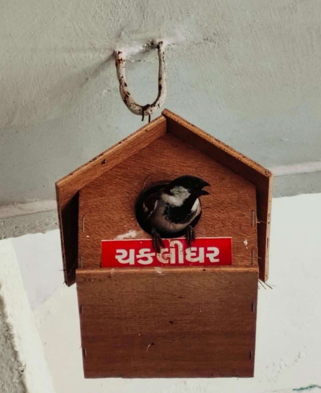 વિશ્વ ચકલી દિવસે ‘વિહંગનો વિસામો’ અભિયાન: અરવલ્લીના બામણા ગામથી પ્રકૃતિ સંરક્ષણનો અનોખો સંદેશ