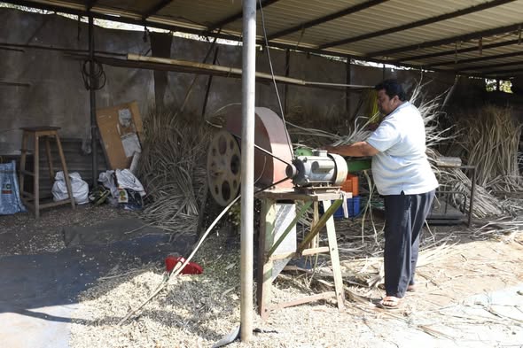 બારડોલીના કનાઈ ગામના બલવંતભાઈ પટેલ પશુપાલનથી બન્યા આત્મનિર્ભર: રોજ 25 લિટર દૂધ ઉત્પાદનથી સ્થિર આવક