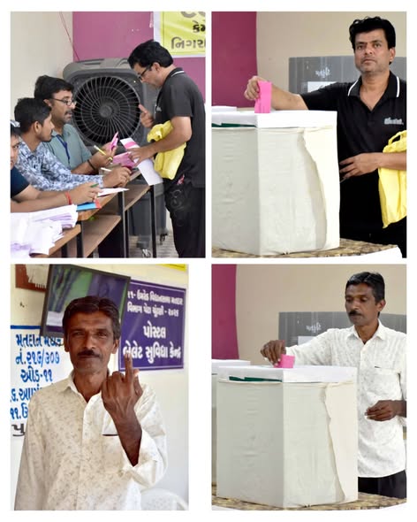 ૧૯-ઉમરેઠ વિધાનસભા પેટાચૂંટણી ૨૦૧૯: સરકારી ફરજ બજાવતા કર્મચારીઓએ પોસ્ટલ બેલેટથી કર્યું મતદાન